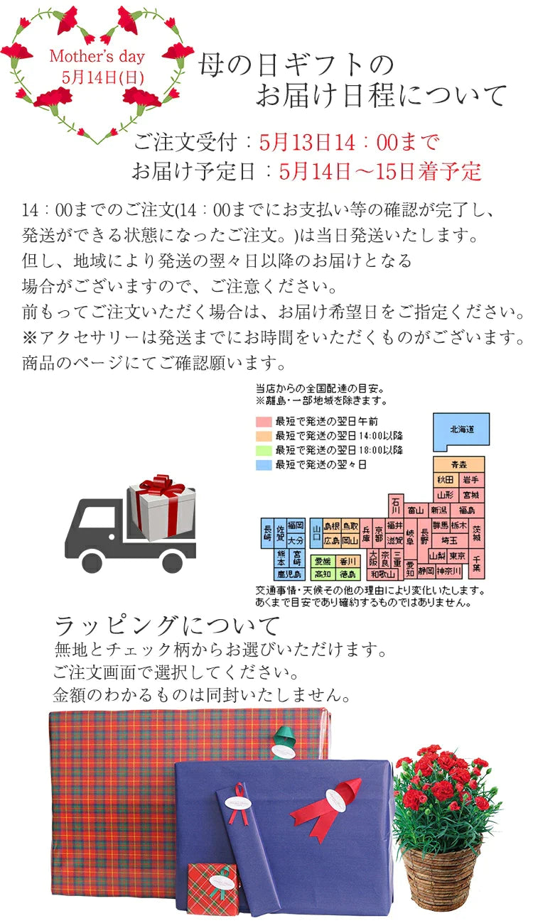 リボントートバッグ-994008